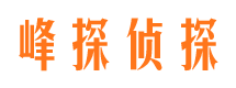 麻城市场调查